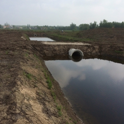 3.4 IMG_1608(0) 3.4 IMG_1608(0)