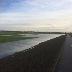 3.4 IMG_2417 3.4 IMG_2417