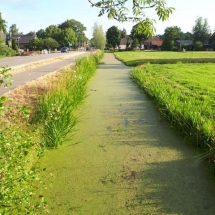 20180712 Vooropname (37) 20180712 Vooropname (37)