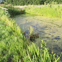 20180712 Vooropname (68) 20180712 Vooropname (68)