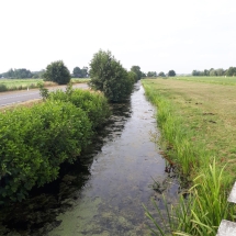 20180712 Vooropname (71) 20180712 Vooropname (71)